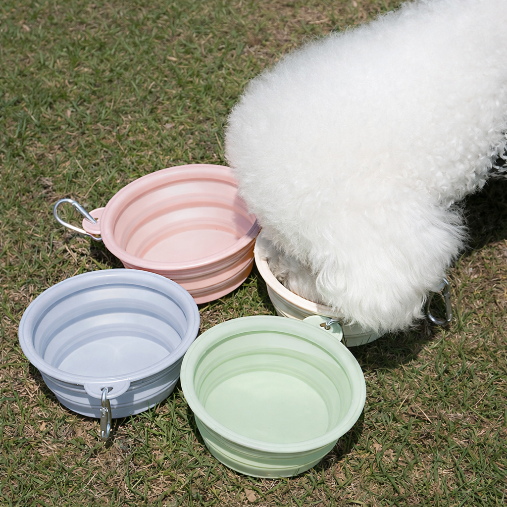 Collapsible Silicone Pet Bowl