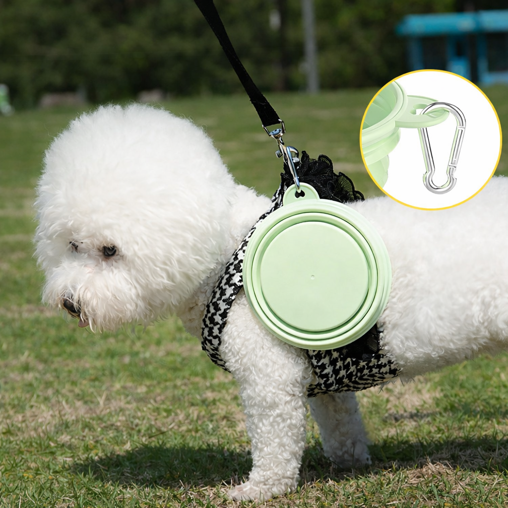 Collapsible Silicone Pet Bowl