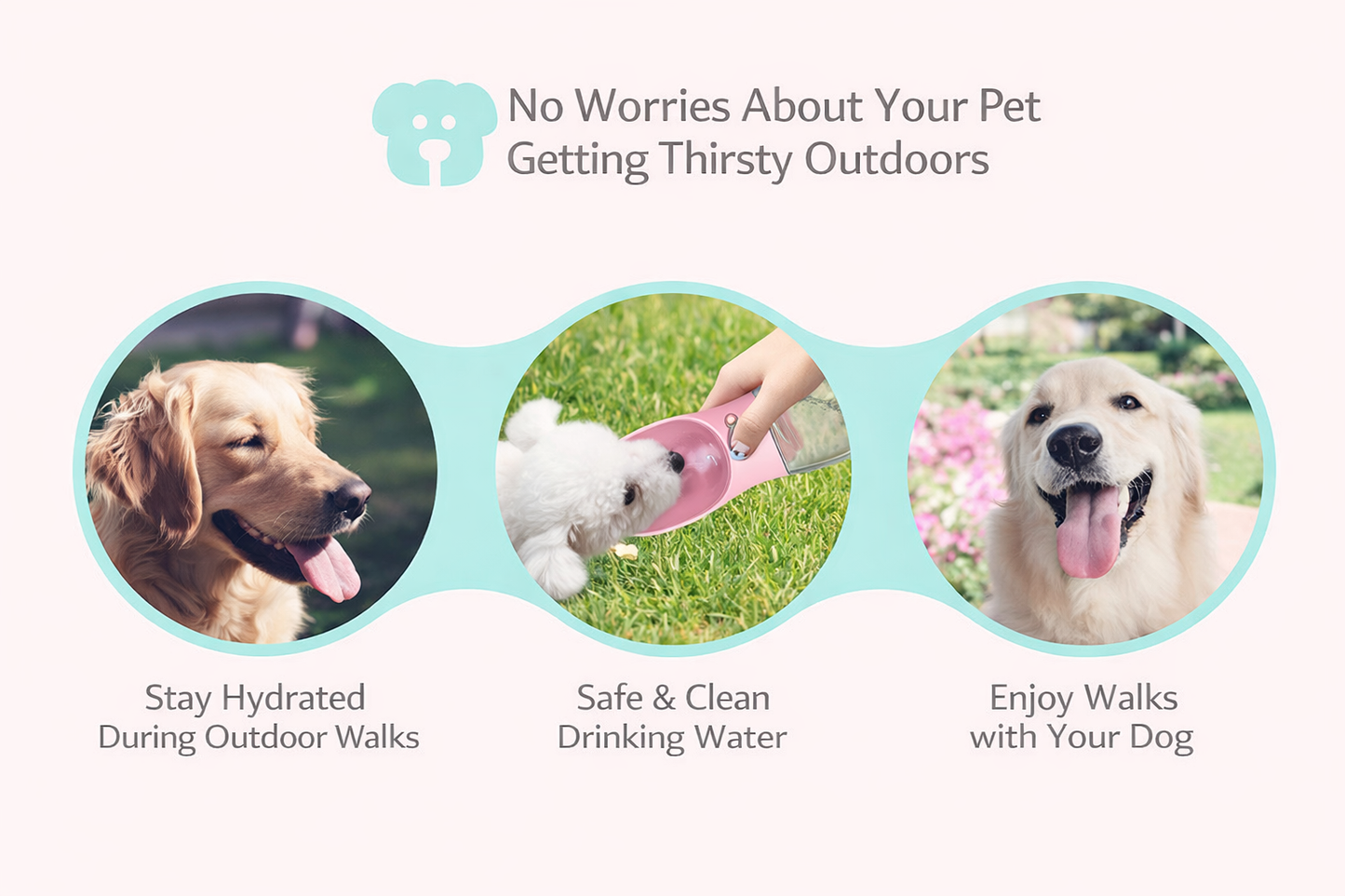 Portable Dog Water Bottle