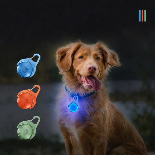 LED Pet Safety Light