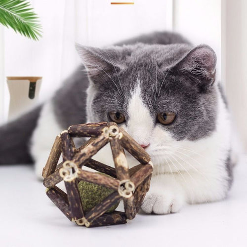 Catnip Chew Toy