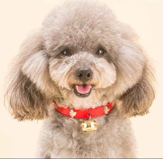 Pet Bell Collar