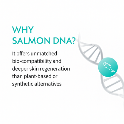 Salmon DNA Repair Serum